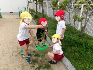 園庭で3歳児と4歳児が草花を一緒にみつけて遊んでいる様子