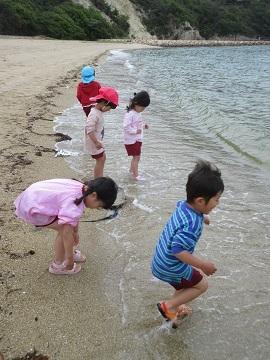 海にも入りました