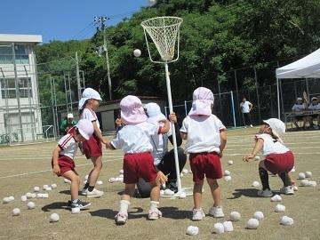 玉入れのをしています