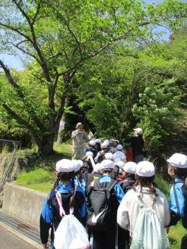 登山口で講師さんから注意事項の話がありました