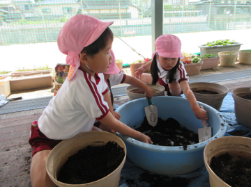 園内で園児たちが土を植木鉢に入れているところ