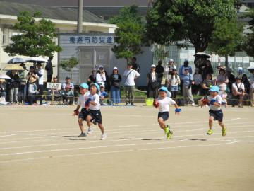 園児が小学校の運動会で4人ずつかけっこをしている様子