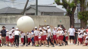 大玉を上手く運んでいる写真