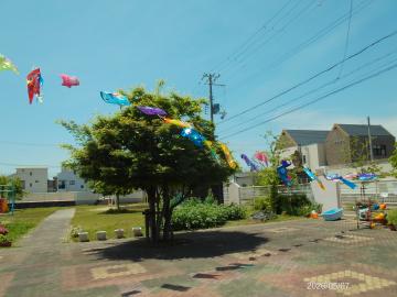 手作りこいのぼりを園庭に飾っている