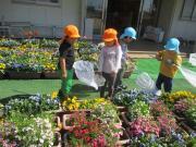 園庭で色とりどりのプランターの前に並び帽子をかぶった子どもたちが花を観察している