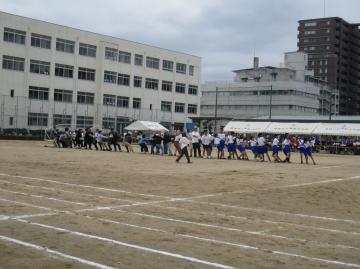 運動場の真ん中で保護者と生徒が一緒に綱引きをしている様子