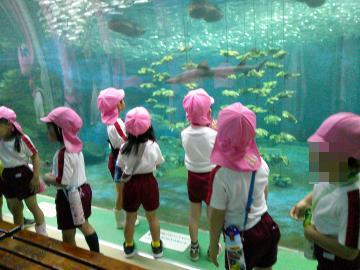 水族館へ行った様子