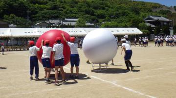 赤組と白組が同時に大玉送りでゴールしている様子