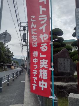 赤い縦長の旗が歩道沿いの柱に取り付けられており旗にはトライやる実施中こんにちは瀧中っ子ですと書かれている石碑や生け垣と電柱が見える街路の風景