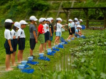 3年生がじゃぶじゃぶ池に入る準備が出来た様子