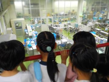 3年生が蒲鉾工場で製品ができる課程を見学している様子