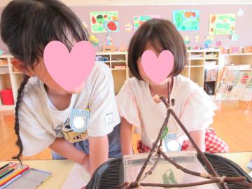 サナギを見ている写真