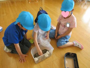 カタツムリを見ている写真
