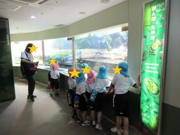 水族館の館内を見学している園児たちの様子
