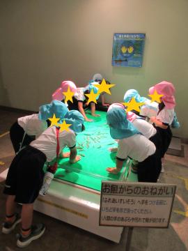 館内で、ドクターフィッシュの水槽に手を入れている園児たちの様子