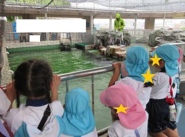 館内で、ペンギンの餌やりを見学する園児たちの様子