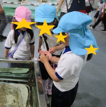 館内で、水槽に入ったたにしを観察する園児たちの様子