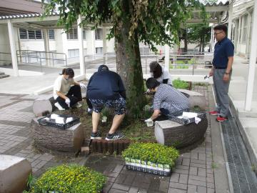 校舎内の花の苗を植えるPTAのみなさんの様子