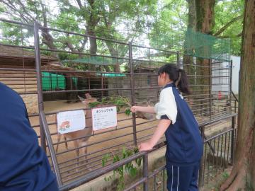制服を着た人物が柵の前で小屋の中の鶏に餌を差し出している