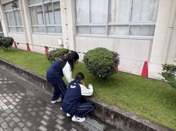青いジャージを着た二人が校舎前の植え込みでしゃがんで草取りをしている