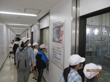 工場の中の様子を見学しています。