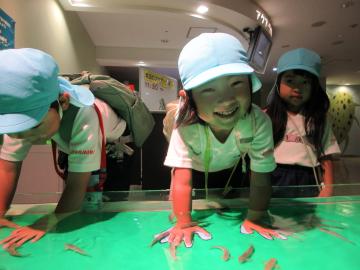 水族館でドクターフィッシュのコーナーの水槽に手を入れ、魚に手を食べられてうれしそうな様子
