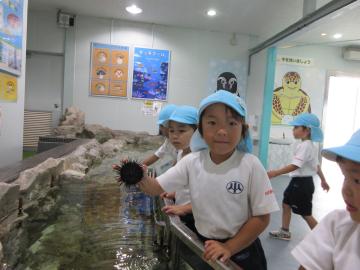 男の子が、タッチプールでウニをつかむことができた様子