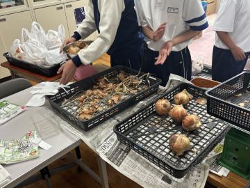 教室で白い制服の生徒たちがテーブルの上に置かれたプラスチックかごに入った玉ねぎや野菜を扱い調理用トレイのそばで作業している様子