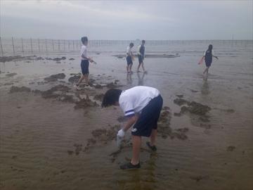 潮が引いた砂浜で複数の生徒が手袋を着けて海藻やごみを拾っている様子