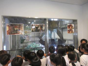 エコパークあぼしの館内を見学している児童たちの様子