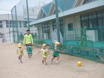 黄色いボールを蹴ろうと追いかける子供たちとサッカー教室のコーチ
