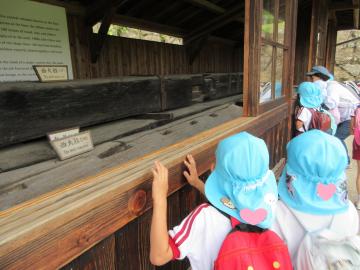 屋外に展示してある姫路城の柱を見る子供たち