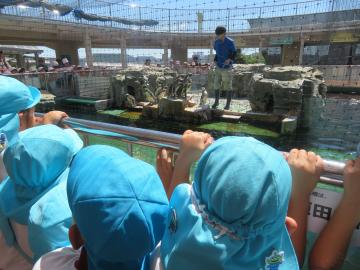 水族館内で、ペンギンを見る園児たちの様子