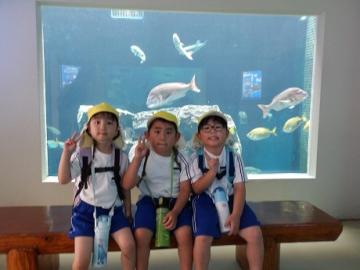 幼児が魚が泳ぐ水槽前で写真を撮っている