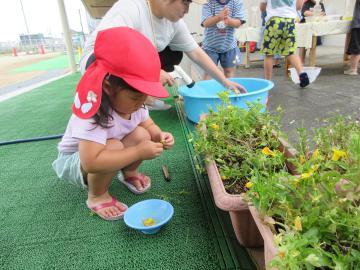 赤い帽子をかぶった子どもが植木鉢の花や葉を選んでいる風景