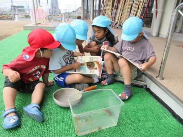 3歳児にカニの名前を教えている様子