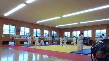 柔道場で道着を着た複数の生徒たちが色付きの畳の上で稽古する光景