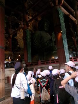 6年生が東大寺の大仏を見ている