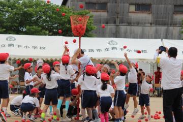 校庭で低学年の紅組が玉入れをしている様子