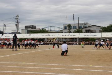 校庭で高学年が綱引きをしている様子