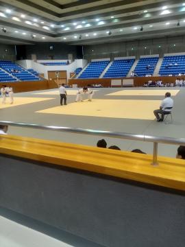 屋内体育館の広い畳敷き競技場で複数の選手と審判が試合を行い客席に数人の観客が座っている様子