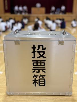 体育館に設置された投票箱の画像。実際に使用する投票箱です。この投票箱へ投票をします。