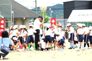 校庭で低学年のうち白組の児童たちが玉入れをする様子