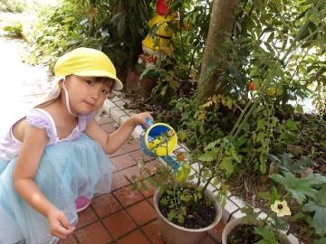 幼児が水やりをする様子