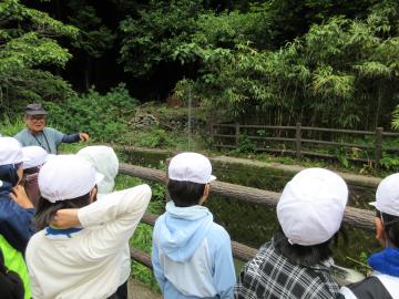 伊勢自然の里での写真