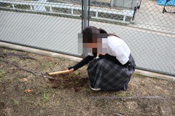 1人の生徒が鎌を持ち、校舎付近の雑草を抜いています。