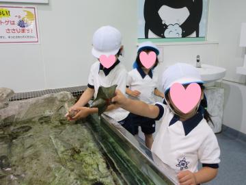 子どもたちが屋内の水槽に集まり水槽の中の生き物に触れている