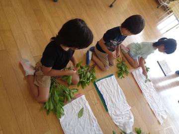 園の室内で藍の葉を布に並べている園児たちの様子