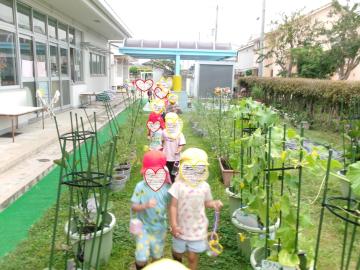3歳児と4歳児が園庭散歩にいっているところ