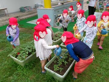 3歳児が水やりをしているところ